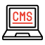 CMS Development